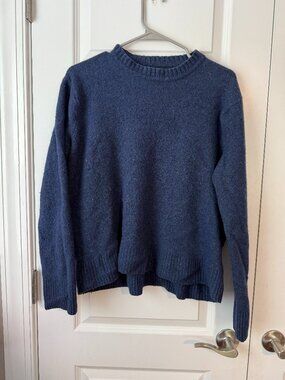 J.Crew Blue Merino Wool Sweater